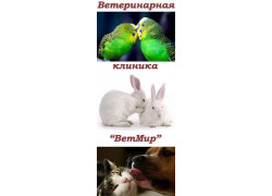 Ветеринарная клиника ВетМир