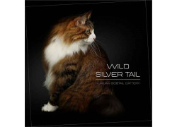 Wild Silver Tail