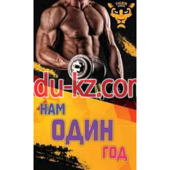 Спортивный комплекс Tiger Fitness - на kreativbase.su в категории Спортивный комплекс