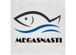 Megasnasti