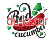 Аренда фотостудии Фотостудия RedCucumber - на kreativbase.su в категории Аренда фотостудии