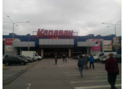 Т. T. Arena