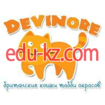 Питомник Питомник британских кошек Devinore - на kreativbase.su в категории Питомник