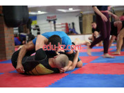 Спортивный клуб, секция Kozak Grappling Team - на kreativbase.su в категории Спортивный клуб, секция