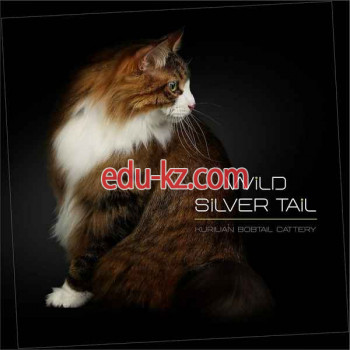 Питомник Wild Silver Tail - на kreativbase.su в категории Питомник